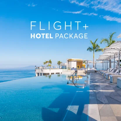Las Vegas hotel and flight package